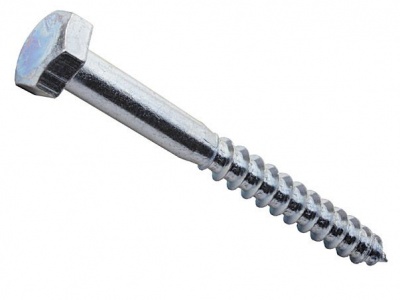 Шуруп DIN571 10*100 Шуруп DIN571 10*100
